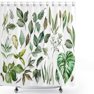 Personality  Watercolor Set. Wild Forest. Leaves. Illustration Shower Curtains