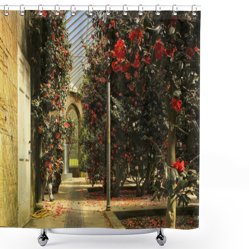 Personality  Old Orangery Shower Curtains