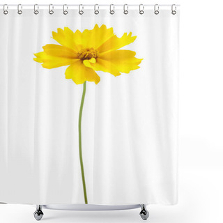 Personality  A Yellow Flower With A Stem Shower Curtains