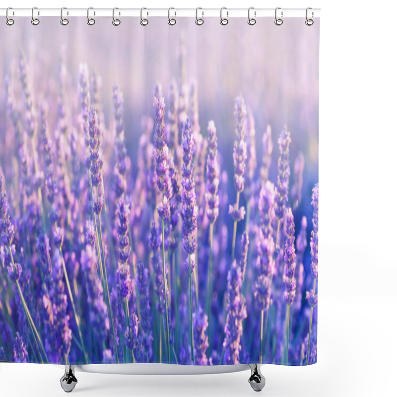 Personality  Lavender flowers shower curtains