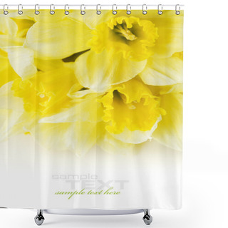 Personality  A Bunch Of Daffodils Shower Curtains