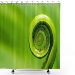Personality  Freshness Concept - Exotic Tropical Shoots Leaf  Shower Curtains