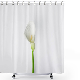 Personality  White Calla Flower Isolated On White Shower Curtains