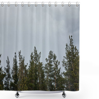 Personality  Low Angle View Of Trees On Grey Sky Background  Shower Curtains
