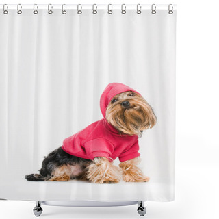 Personality  Cute Yorkshire Terrier In Pink Pullover Shower Curtains