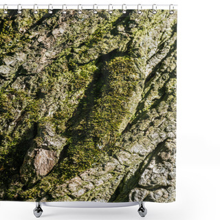 Personality  Vertical Background Of Tree Bark With Moss Shower Curtains