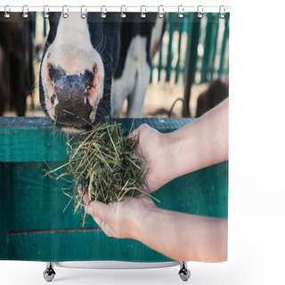 Personality  Farmer Feeding Cow In Stall  Shower Curtains