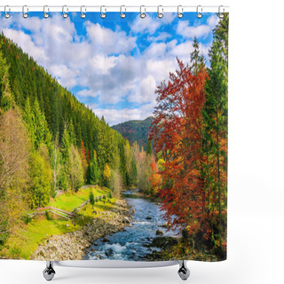 Personality  Gorgeous Day Near The Forest River In Mountains Shower Curtains