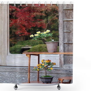 Personality  Bonsai Flower And Tree Shower Curtains