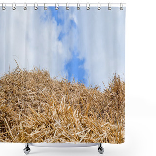 Personality  Straw, Hay Background Shower Curtains
