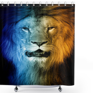 Personality  Close Up Portrait Of Lion In A Hot And Cold Shade Shower Curtains