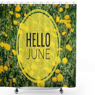 Personality  Banner Hello June. New Season. Text On The Photo With Yellow Flowers. Shower Curtains