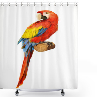 Personality  Ara Parrot. Macaw. Photo Realistic. 3d Vector Icon Shower Curtains