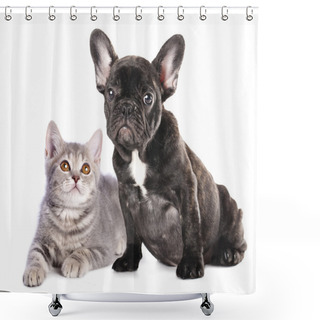 Personality  British Kitten And French Bulldog Puppy Shower Curtains