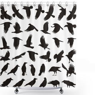 Personality  Bird Carrion Crow Shower Curtains