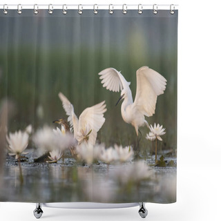 Personality  Little Egret  In Water Lillies Pond Shower Curtains