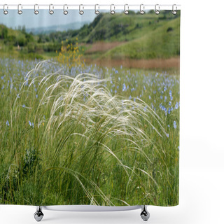 Personality   Meadow With Feather Grass Shower Curtains