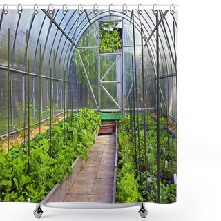 Personality  Vegetable Greenhouses Made Of Transparent Polycarbonate  Shower Curtains