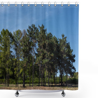 Personality  Evergreen Trees On Grass With Blue Sky At Background Shower Curtains