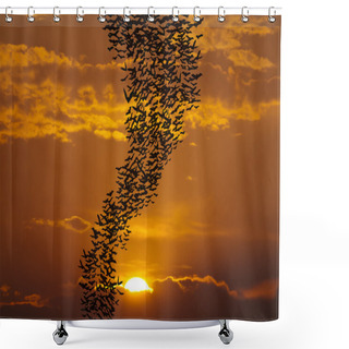 Personality  Bats Flying Againt Sun Shower Curtains