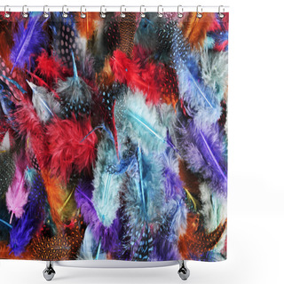 Personality  Feathers Of Different Colors Shower Curtains
