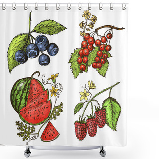 Personality  Set Berries. Raspberry, Blueberry, Sea Buckthorn, Red Currants, Strawberry, Gooseberry, Watermelon, Cloudberry, Dog Rose, Blueberry, Raspberry. Engraved Hand Drawn In Old Sketch, Vintage Style. Shower Curtains