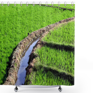 Personality  Rice Field With Irrigation Shower Curtains