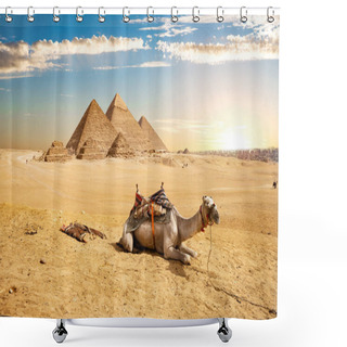 Personality  Camel And Pyramids Shower Curtains