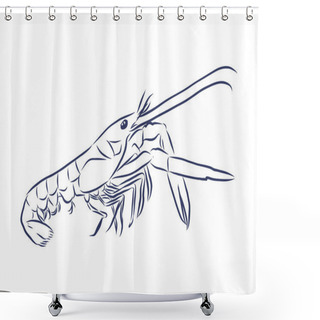 Personality  Picture Of Live Shrimp. Hand-drawning. Line Sketch Vector Shower Curtains