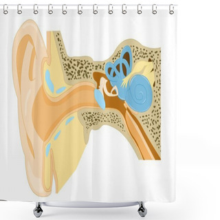 Personality  Ear Anatomy Shower Curtains