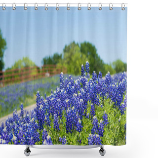 Personality  Texas Bluebonnets Blooming Along A Country Road Shower Curtains