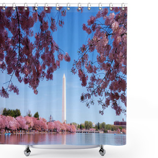 Personality  Washington DC Cherry Blossom Shower Curtains