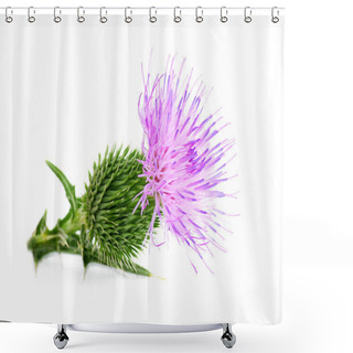 Personality  Thistle Shower Curtains