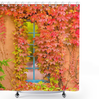 Personality  Brightly Colored Leaves Accenting A Blue Frame Window Set Within An Adobe Wall In Santa Fe, NM Shower Curtains