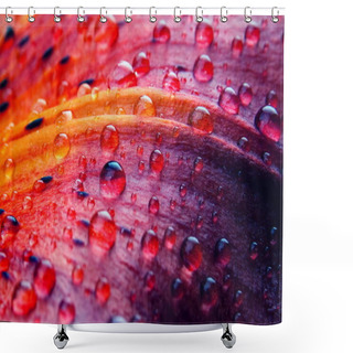Personality  Lily Flower Macro Shower Curtains