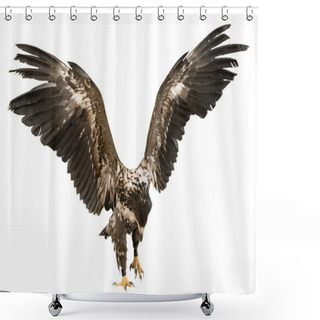 Personality  Eagle With Spread Wings Shower Curtains