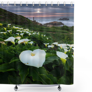 Personality  Wild Calla Lilly During Sunset  Shower Curtains