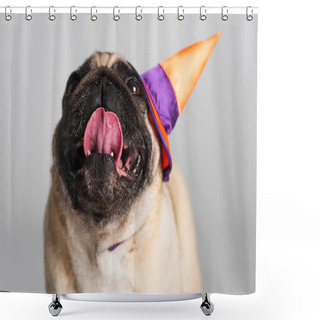 Personality  Purebred Pug Dog In Halloween Pointed Hat Sticking Out Tongue Isolated On Grey  Shower Curtains