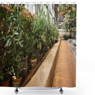 Personality  Fresh Plants And Bushes And Trees Inside Of Greenhouse, Indoor Garden Ecosystem Concept Shower Curtains