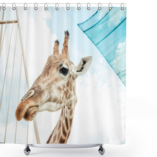 Personality  Giraffe  Shower Curtains