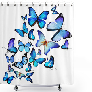 Personality  Many Different Butterflies, Isolated On White Background Shower Curtains