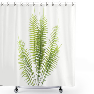 Personality  Top View Of Green Fern Branches Isolated On White, Minimalistic Concept Shower Curtains