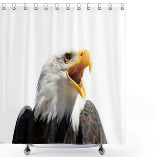 Personality  Portrait Of A Bald Eagle (Haliaeetus Leucocephalus) Isolated On A White Background. Shower Curtains