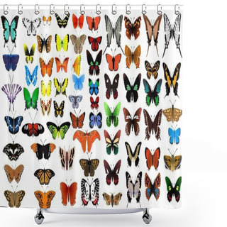 Personality  Big Vector Collection Of Butterflies Shower Curtains