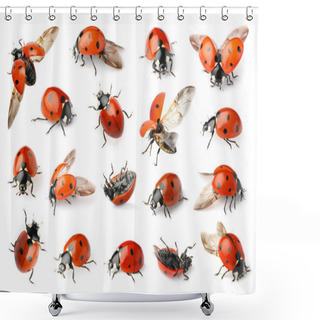 Personality  Set With Beautiful Ladybugs On White Background Shower Curtains