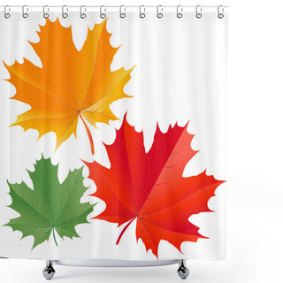 Personality  Colorful Maple Leaves Shower Curtains