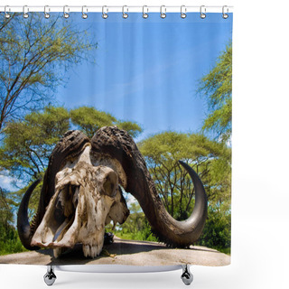Personality  Buffalo Skull Atop The Entrance Gate Posts At Ndabaka To The Serengeti National Park, Tanzania Shower Curtains