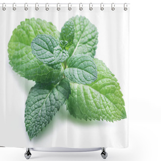 Personality  Perfect Spearmint Or Mint Isolated On White Background. Shower Curtains