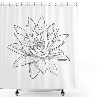 Personality  Floral Water Lily. Vector Line Style Shower Curtains