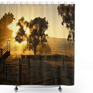 Personality  Early Morning Cattle Shower Curtains